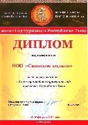 Диплом Министерства культуры РТ 
