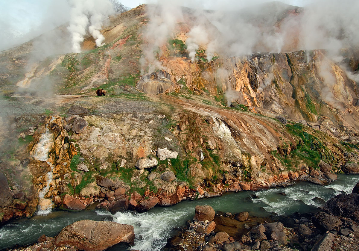 Долина мини гейзеров на камчатке фото